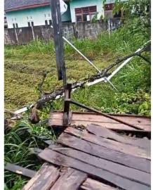 ANGIN KENCANG MENERJANG KALURAHAN GADING